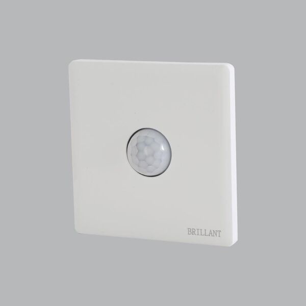 baytonia_main product photo