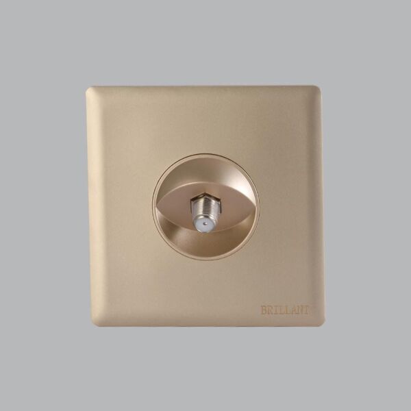 baytonia_main product photo
