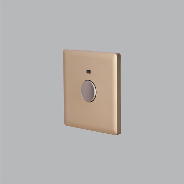 baytonia_main product photo
