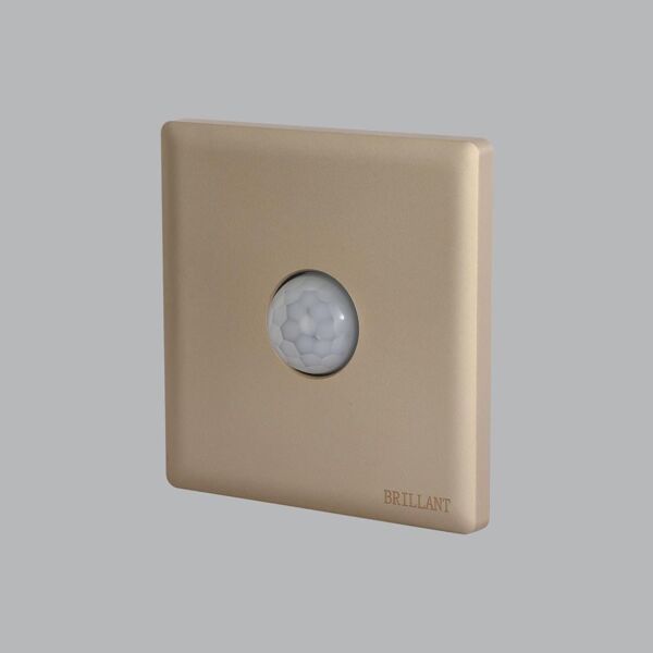 baytonia_main product photo