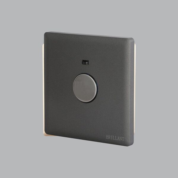 baytonia_main product photo