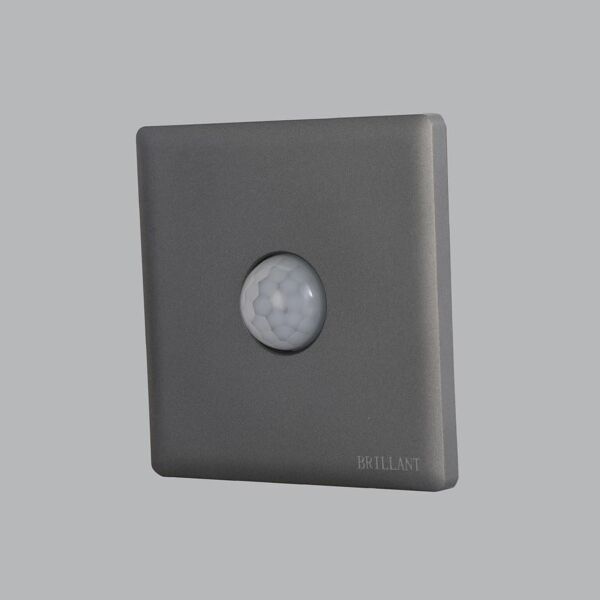 baytonia_main product photo