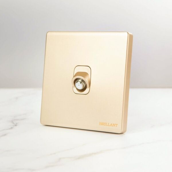 baytonia_main product photo