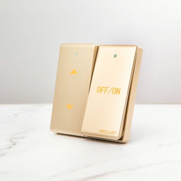 baytonia_main product photo