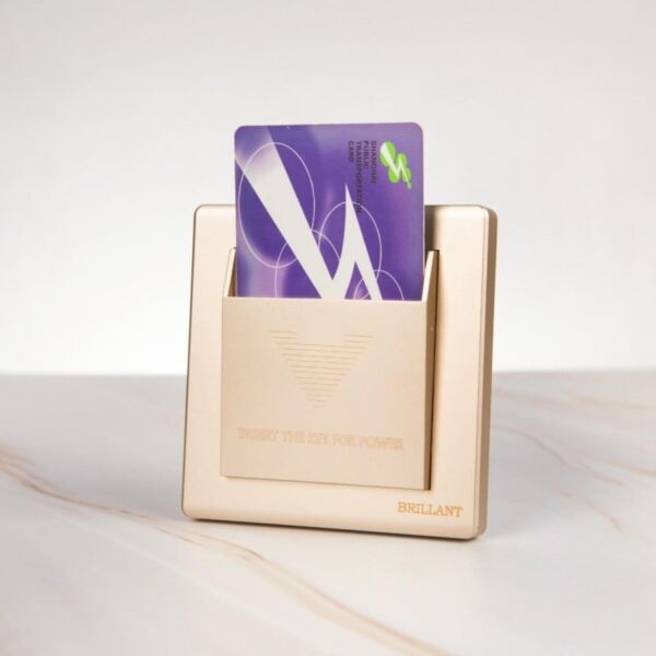 baytonia_main product photo