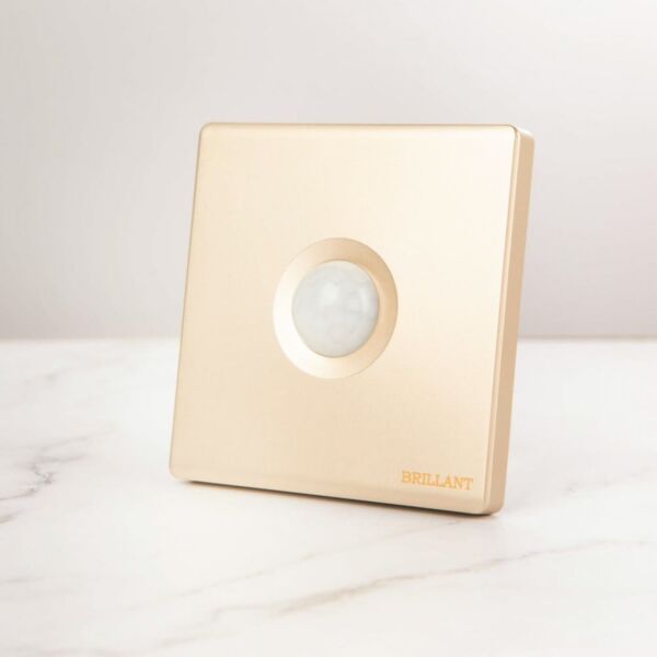 baytonia_main product photo