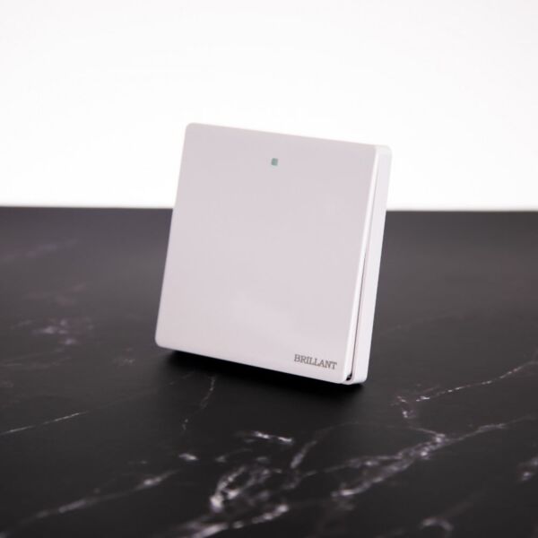 baytonia_main product photo