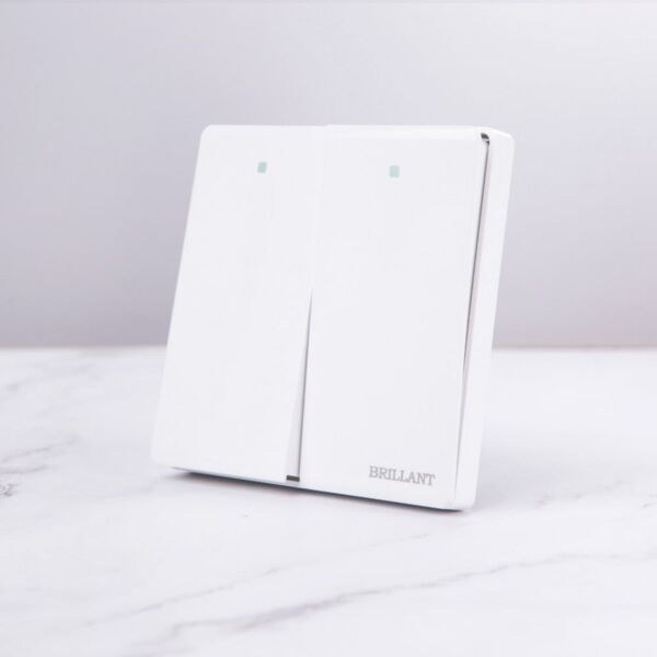 baytonia_main product photo