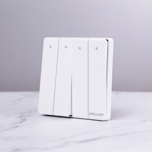 baytonia_main product photo