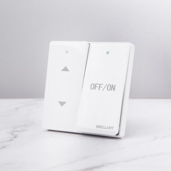 baytonia_main product photo