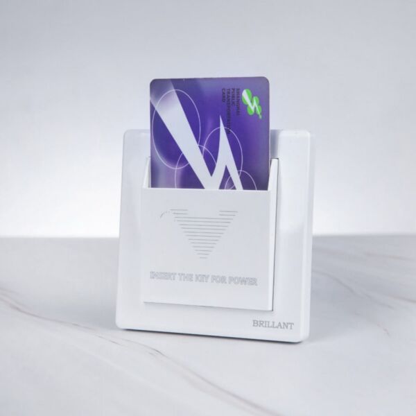 baytonia_main product photo