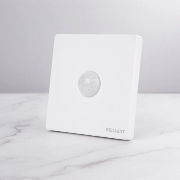 baytonia_main product photo