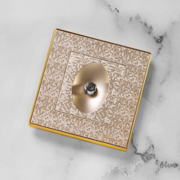 baytonia_main product photo