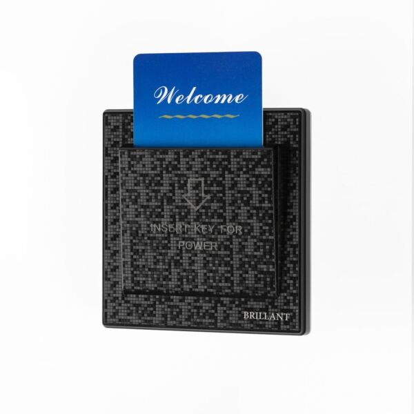 baytonia_main product photo