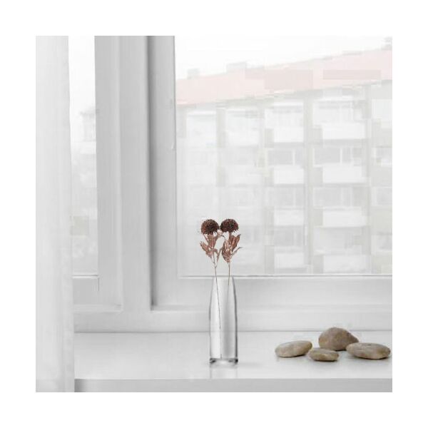baytonia_main product photo