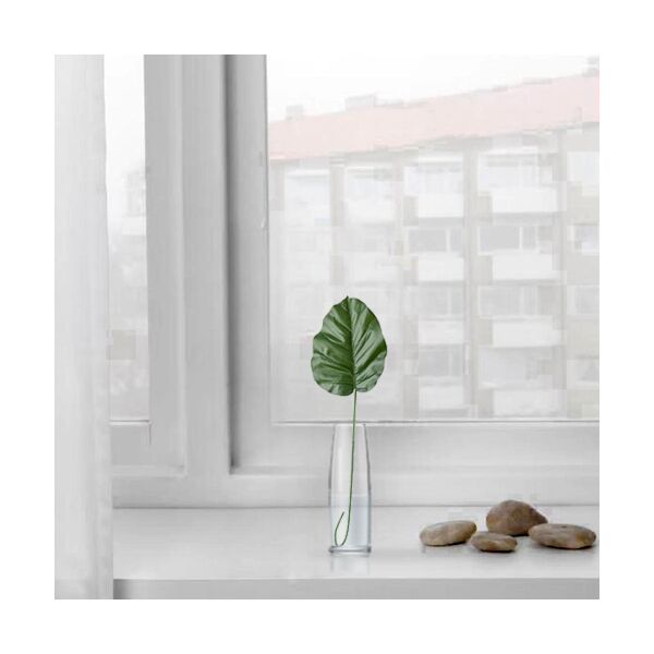 baytonia_main product photo