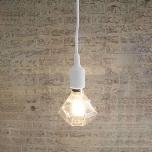 baytonia_main product photo