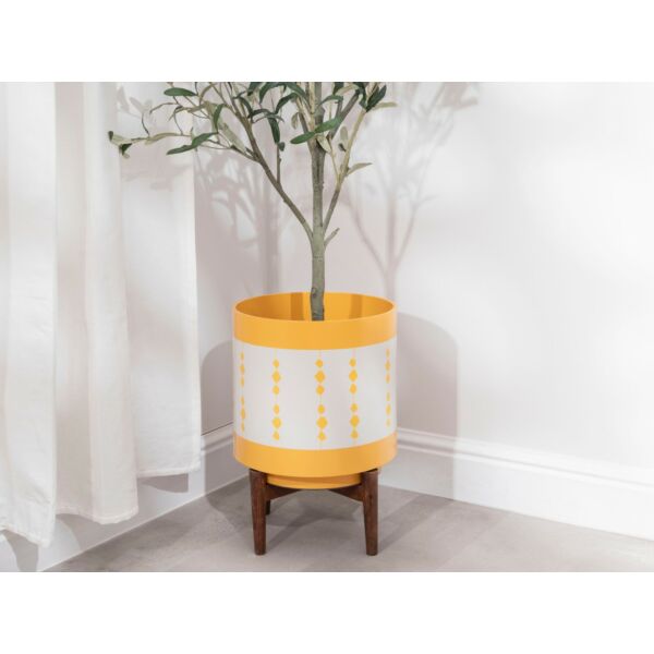 baytonia_main product photo