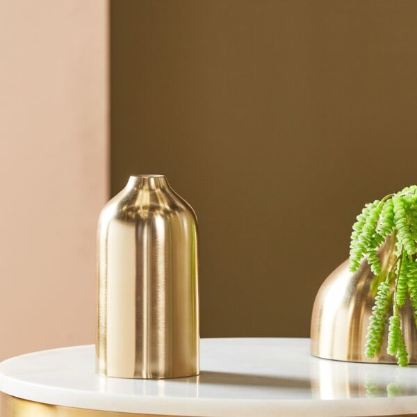 baytonia_main product photo