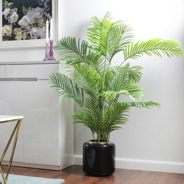 baytonia_main product photo