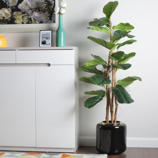 baytonia_main product photo