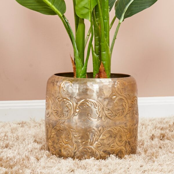 baytonia_main product photo