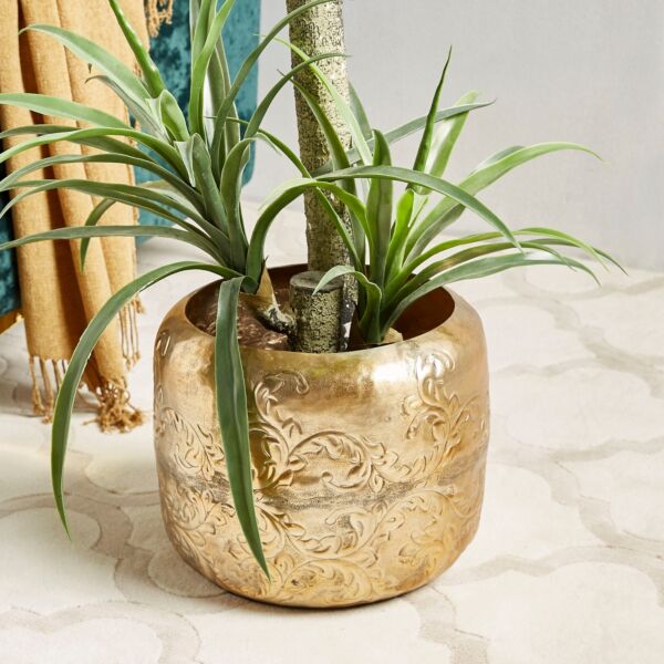 baytonia_main product photo
