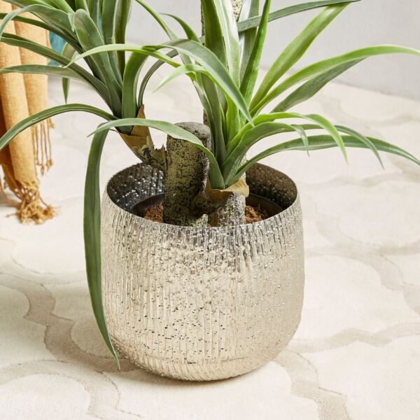 baytonia_main product photo