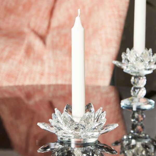 baytonia_main product photo
