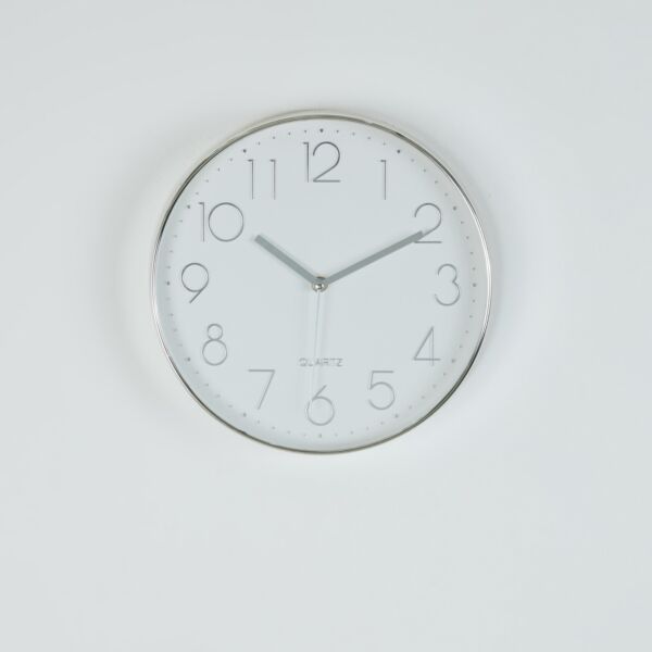 baytonia_main product photo