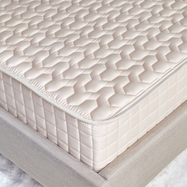 baytonia_main product photo