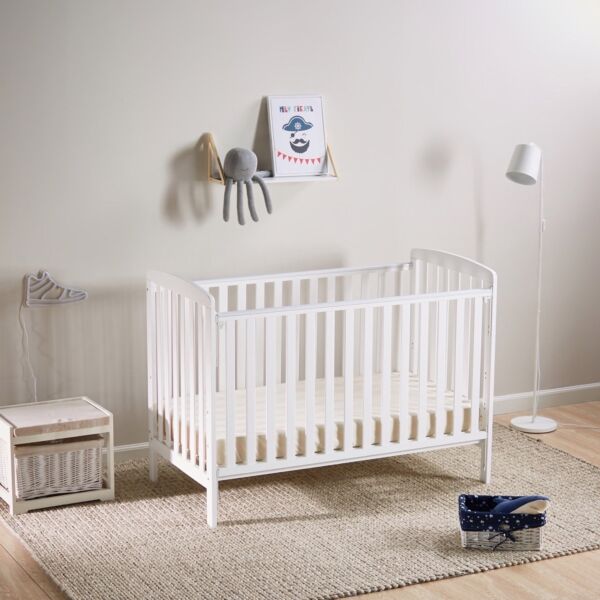 baytonia_main product photo