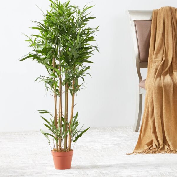 baytonia_main product photo