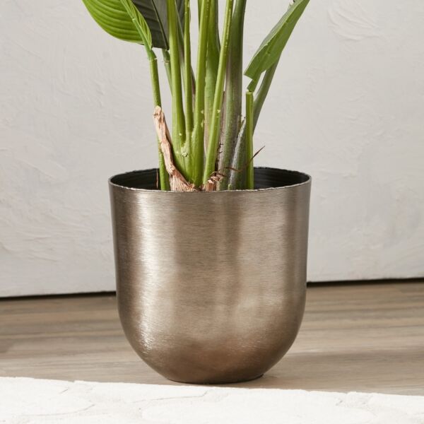baytonia_main product photo