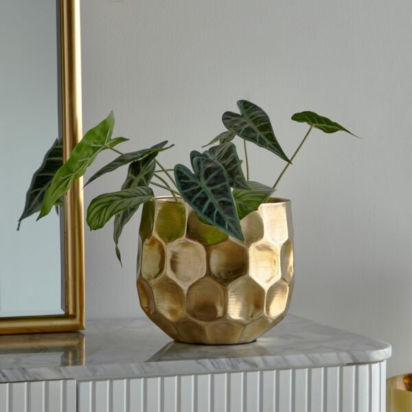 baytonia_main product photo