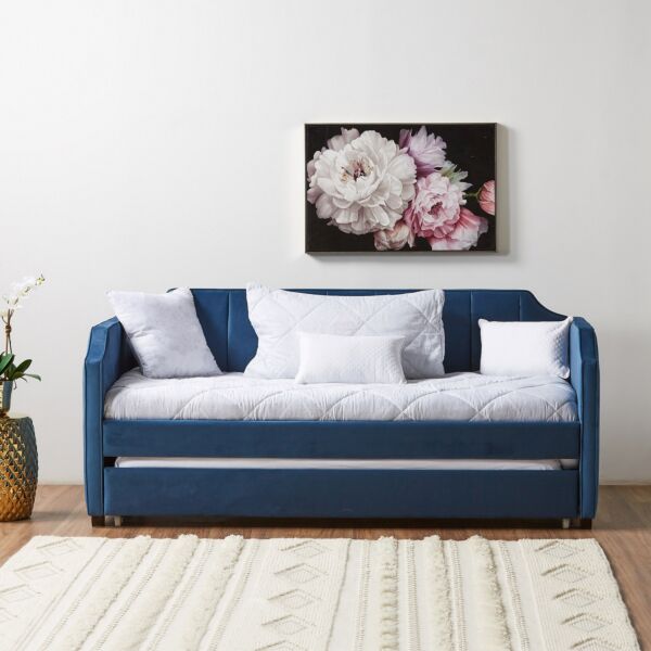 baytonia_main product photo