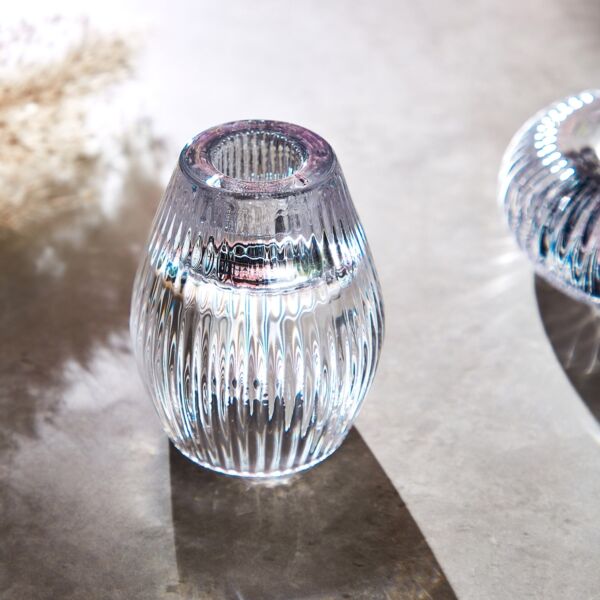 baytonia_main product photo