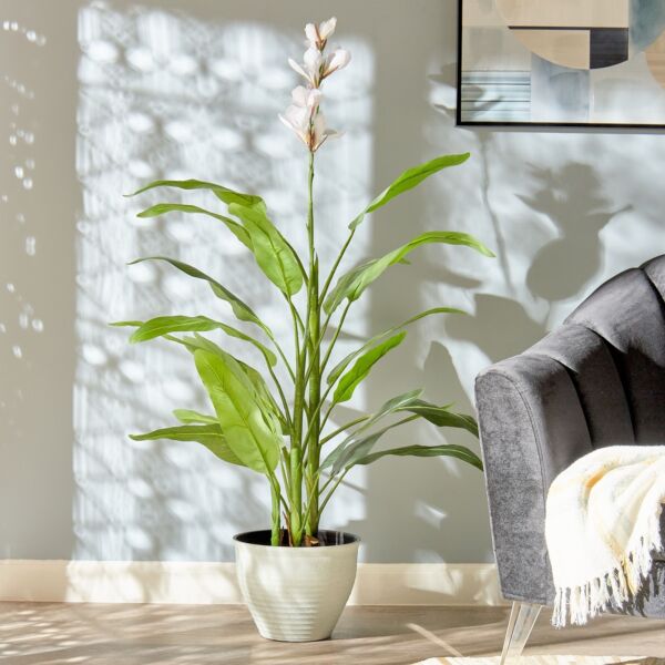 baytonia_main product photo