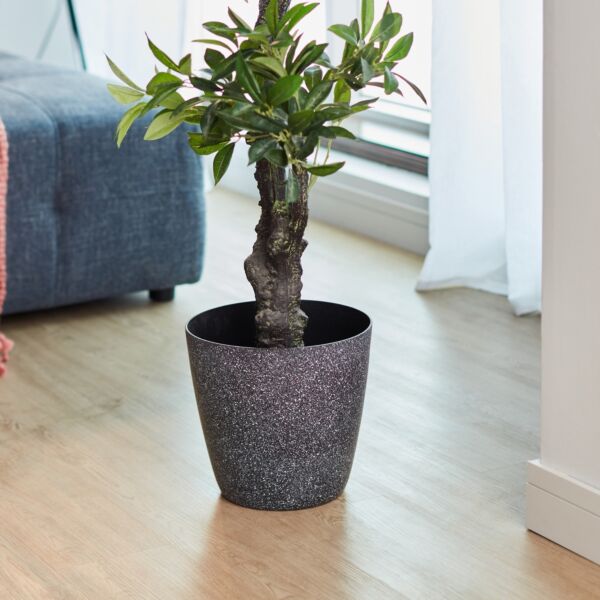 baytonia_main product photo