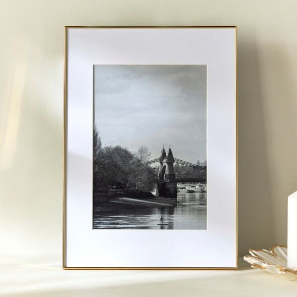 baytonia_main product photo