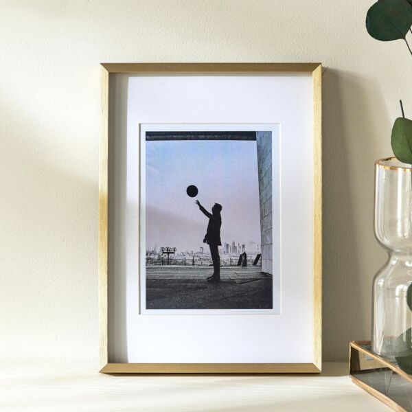 baytonia_main product photo