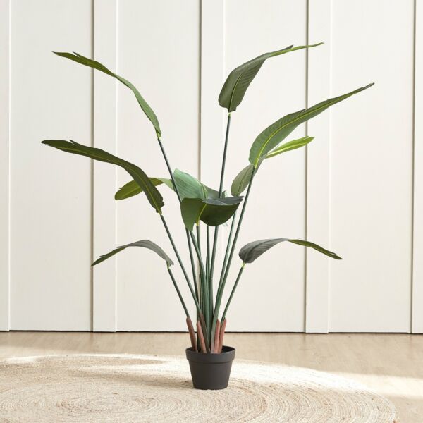 baytonia_main product photo
