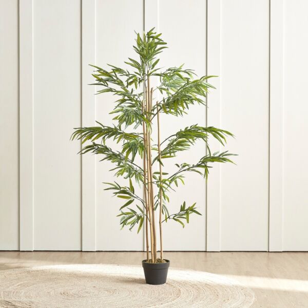 baytonia_main product photo