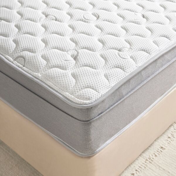 baytonia_main product photo