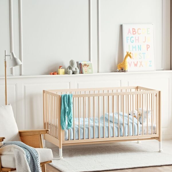baytonia_main product photo