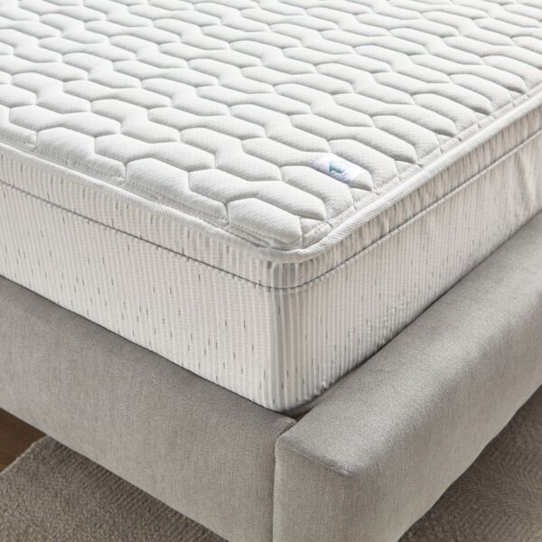 baytonia_main product photo