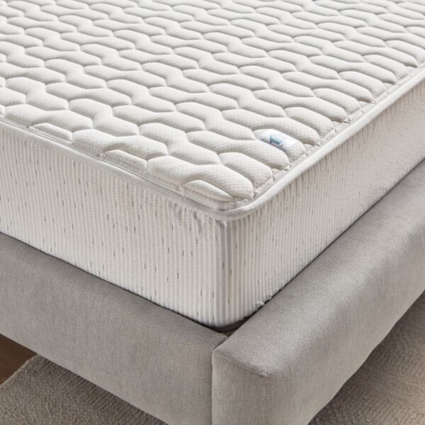 baytonia_main product photo