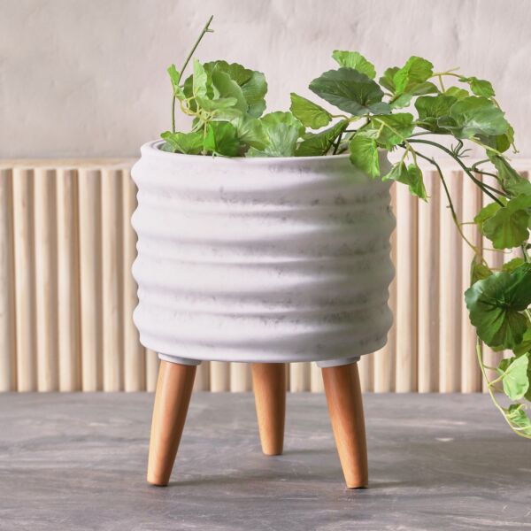 baytonia_main product photo