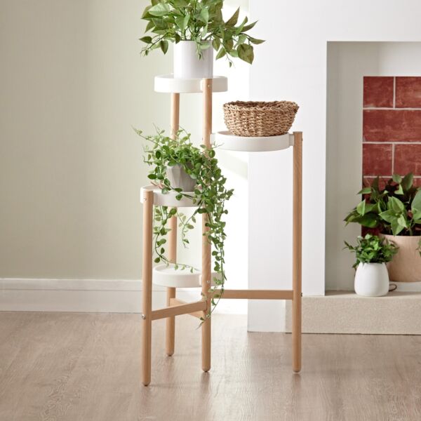 baytonia_main product photo