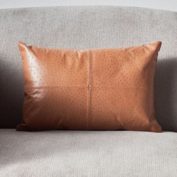 baytonia_main product photo